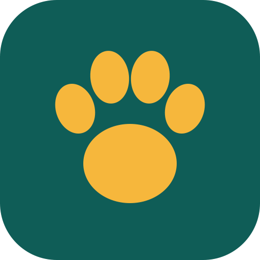 DogTrain logo: an amber paw print on a teal background